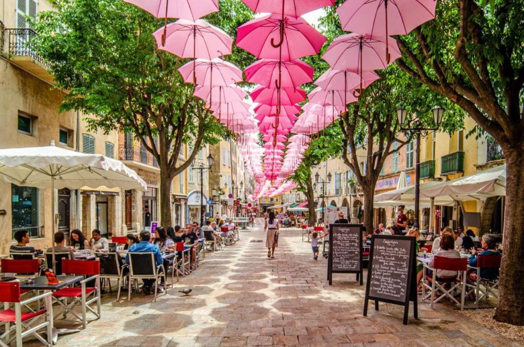 La Parenthese Au Coeur Des Palmiers, Sur Les Hauteurs De Grasse Exterior photo